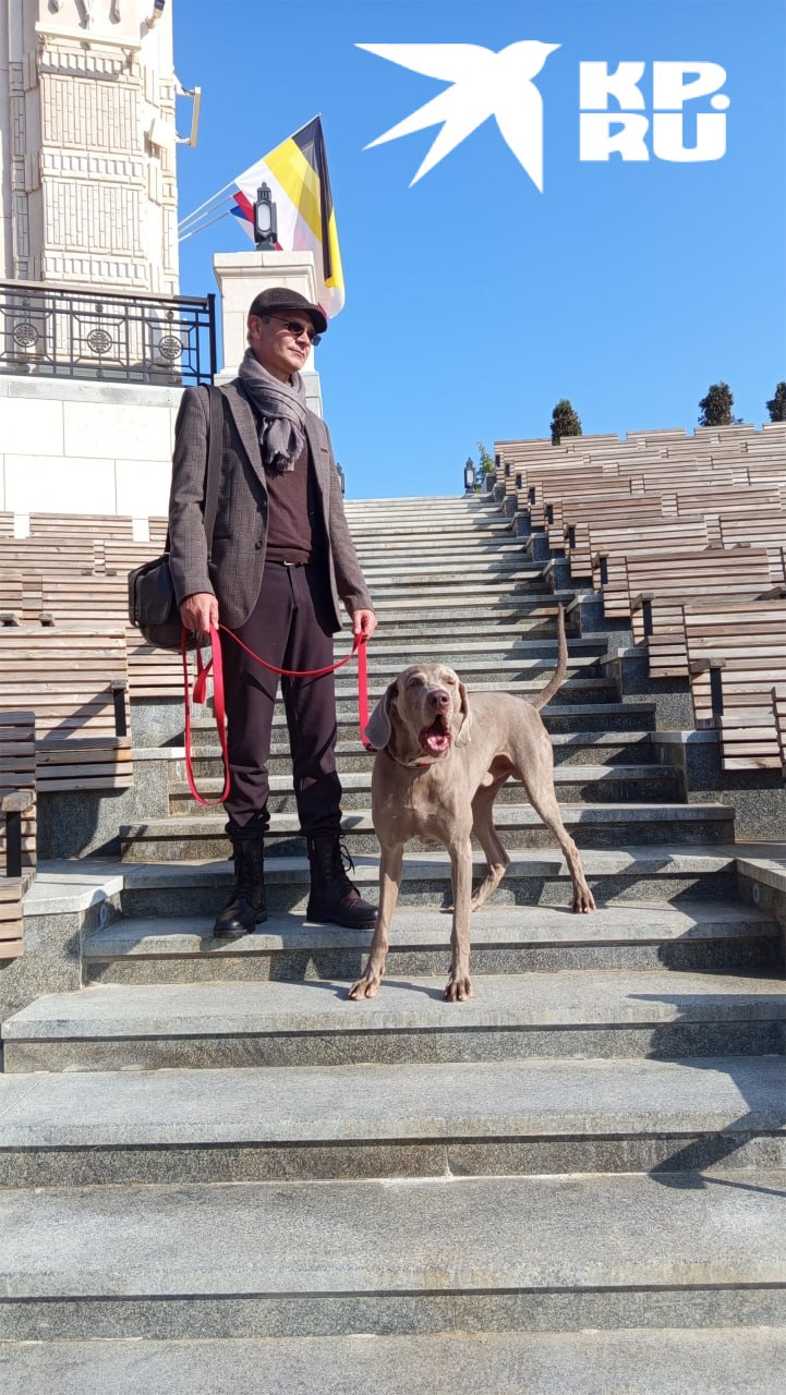 В Севастополе прошла душевная выставка собак «Хрюнстон приглашает друзей»! В Севастополе прошла душевная выставка собак «Хрюнстон приглашает друзей»!