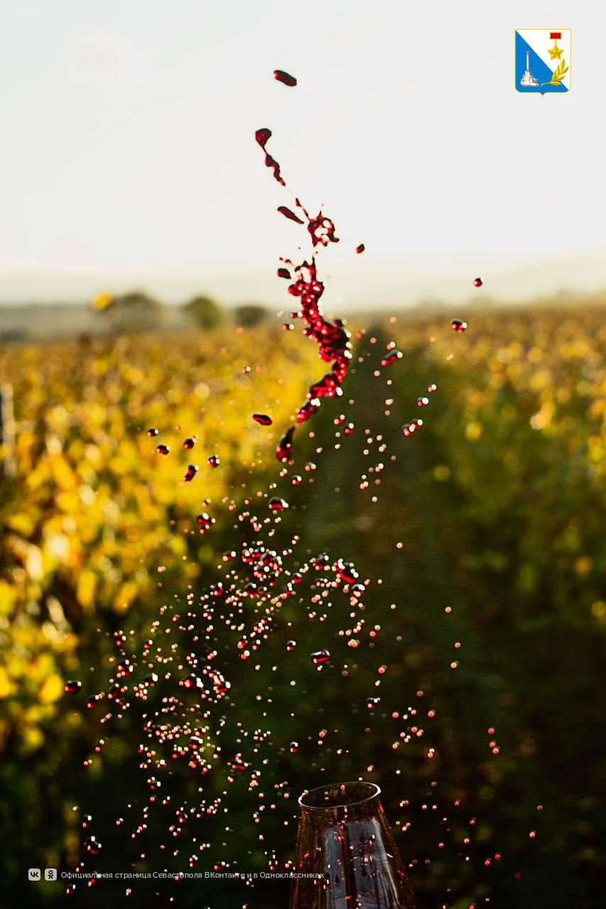 Севастопольские вина завоевали золото, серебро и бронзу в China Wine Competition Севастопольские вина завоевали золото, серебро и бронзу в China Wine Competition