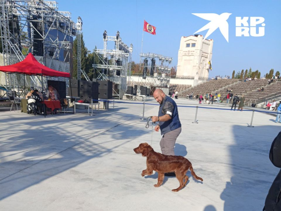 � ����������� ������ �������� �������� ����� ��������� ���������� ������!