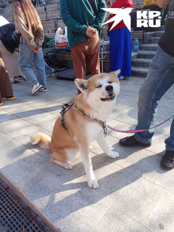 � ����������� ������ �������� �������� ����� ��������� ���������� ������!