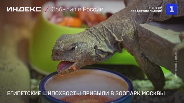 � ���������� ������� ������� ���������� ����������