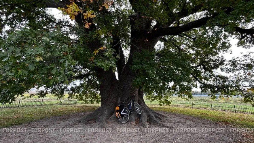 ����������� ��� �� ����� �������� ����� �� ������� �������� ������