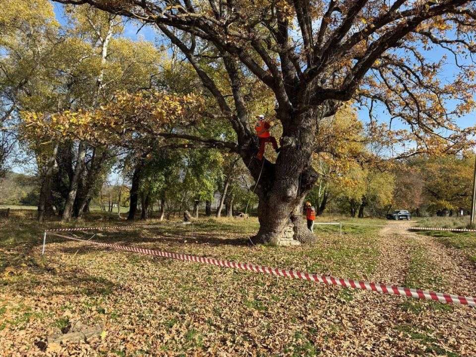 � ����������� �������� ������ �� ������������ ���������������� �����