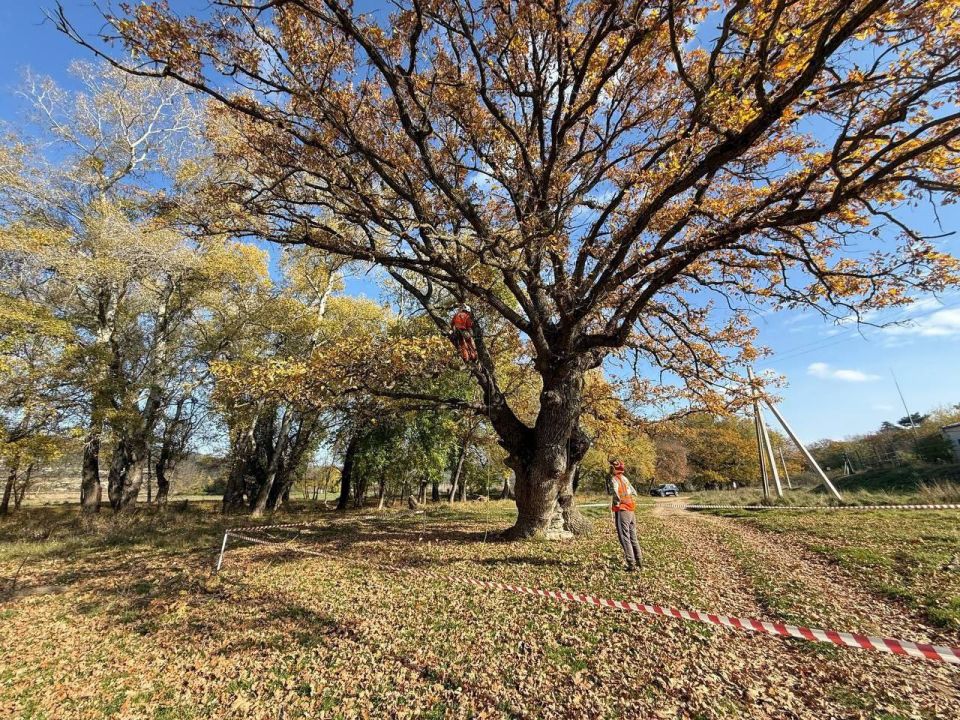 � ����������� �������� ������ �� ������������ ���������������� �����