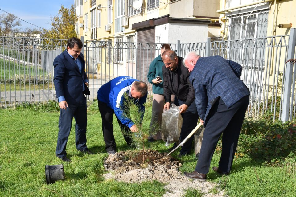 ��������������� ������� ����� ������� ���������� ����� �.�. �������� ��������� � ������������ 80-����� ����������