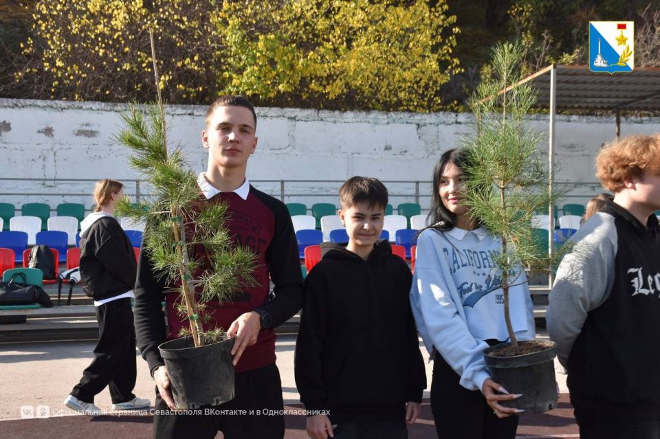 ������ �������. ��������������� ������� ����� ������� ���������� ����� �.�. �������� ��������� � 80-�����