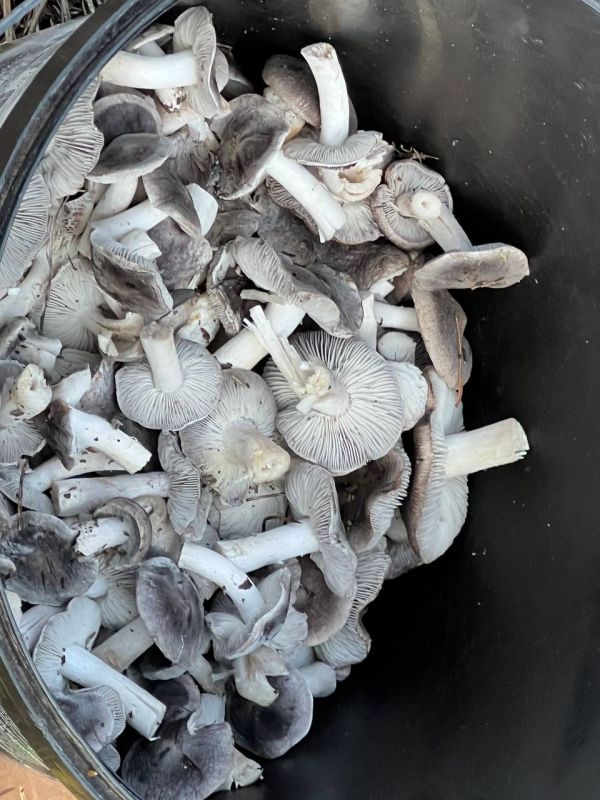 �������, �����, ������ � ��������� ���: ��� ����������� �� ������