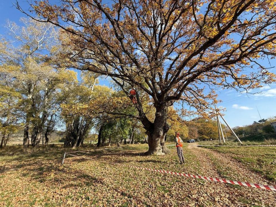 ������ ���������: ������� ����������� ���������� � ������������ ���������� ������� � ���������������� �����