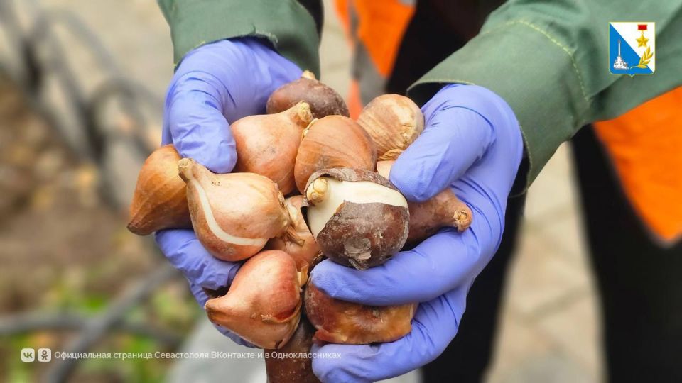 ���������� �������� � ���������