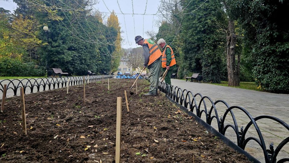 На городских клумбах Балаклавы началась высадка тюльпанов На городских клумбах Балаклавы началась высадка тюльпанов