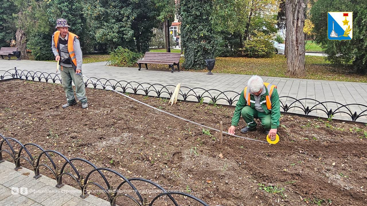 Высаживаем тюльпаны в Балаклаве Высаживаем тюльпаны в Балаклаве