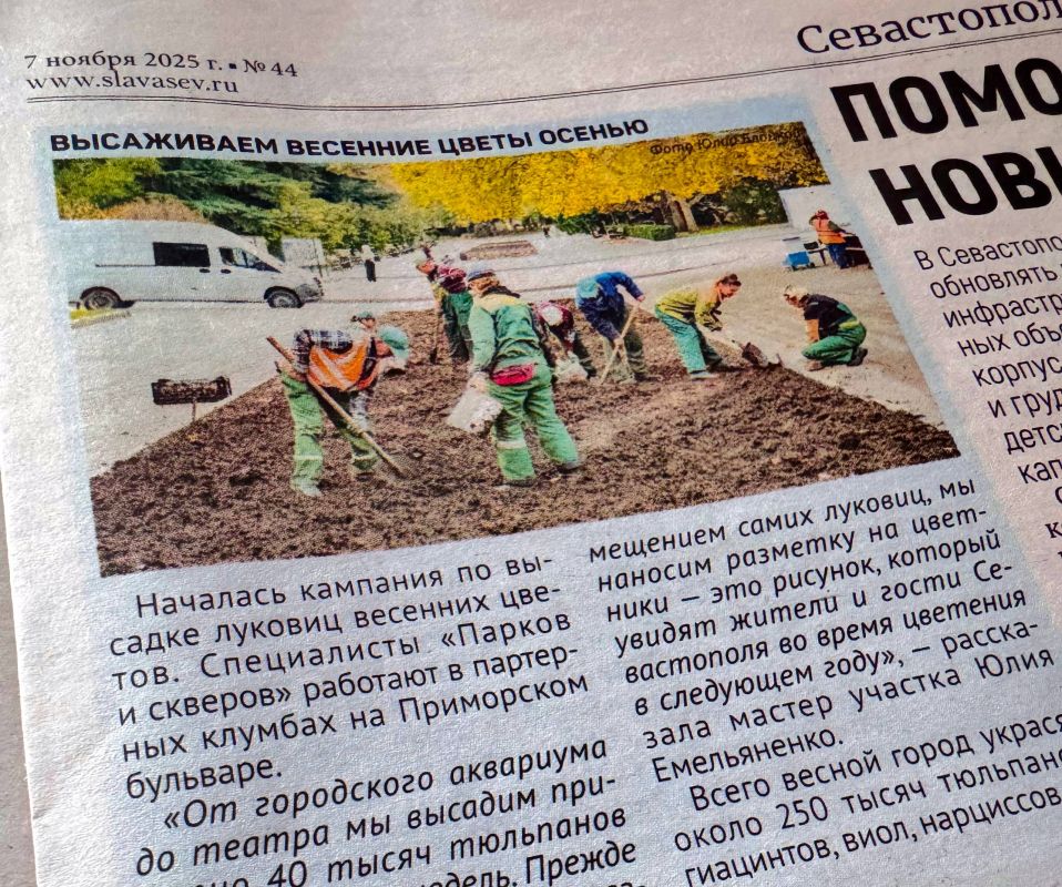 Высаживаем весенние цветы осенью