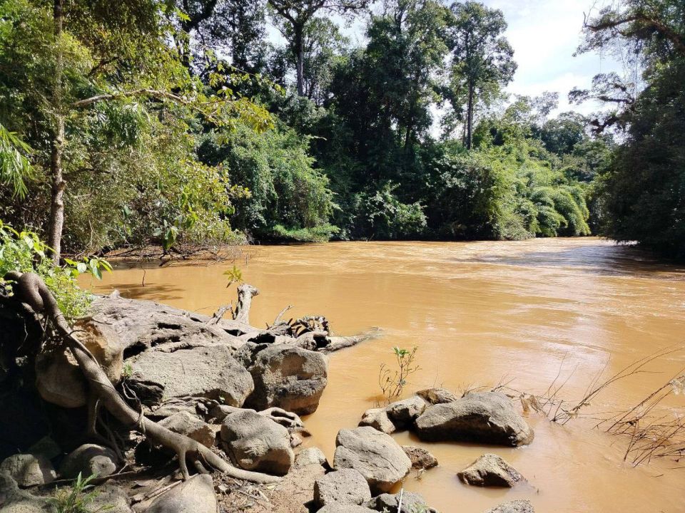 Севастопольские учёные завершили экспедицию во вьетнамский национальный парк Кат Тьен