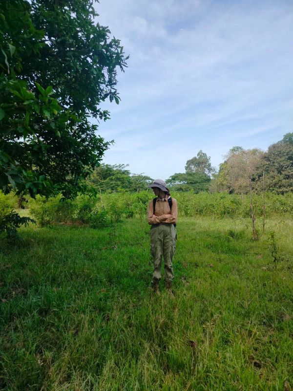 ��������������� ������ ��������� ���������� �� ����������� ������������ ���� ��� ����