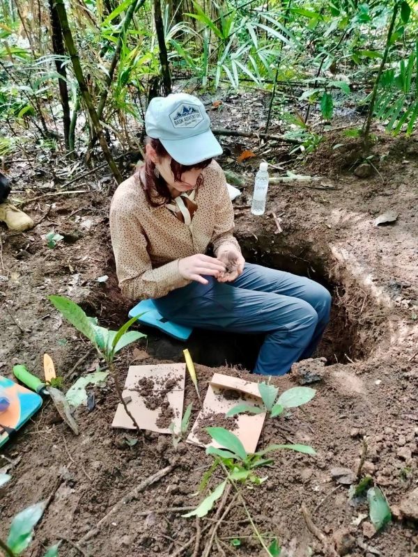 ��������������� ������ ��������� ���������� �� ����������� ������������ ���� ��� ����