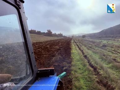 Готовим почву для будущих лесов