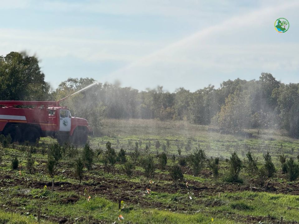 ������� �������. ��������� ������ � ����� ������ ������! ���������� ������� �������� �� ������������������