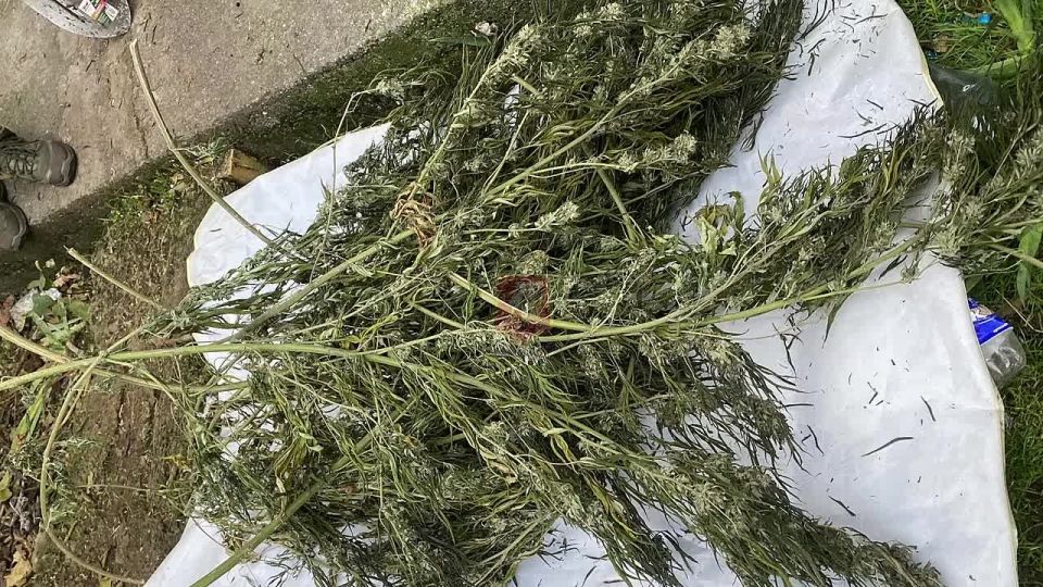 � ����������� ����������� ��������� ������� �� �������� ������� ������ �������