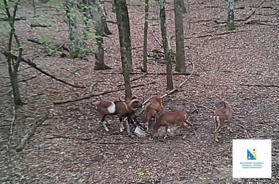 � ��������������� ����� ����� ������ ������� � ������ �������� ����