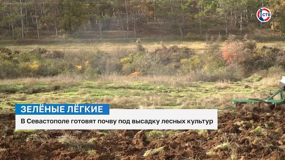 � ����������� ������������ ���������� � ������� ������ �������