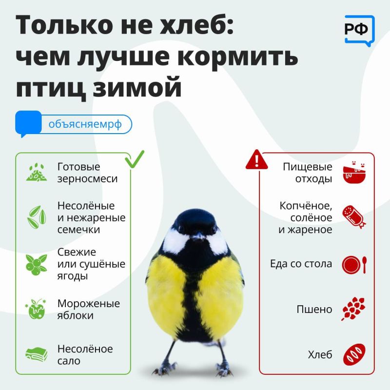 �������� ���� � �������� ������� � ������ � ������