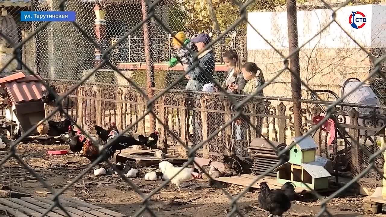 В Севастополе семьи получают единовременные выплаты при рождении третьего и последующих детей