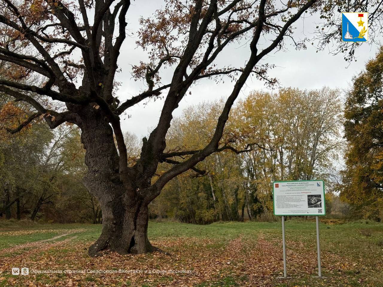 До конца года в Севастополе обозначат особо охраняемые природные территории До конца года в Севастополе обозначат особо охраняемые природные территории
