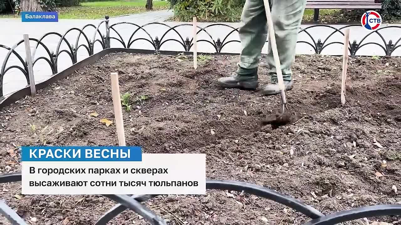 В парках и скверах высаживают сотни тысяч тюльпанов