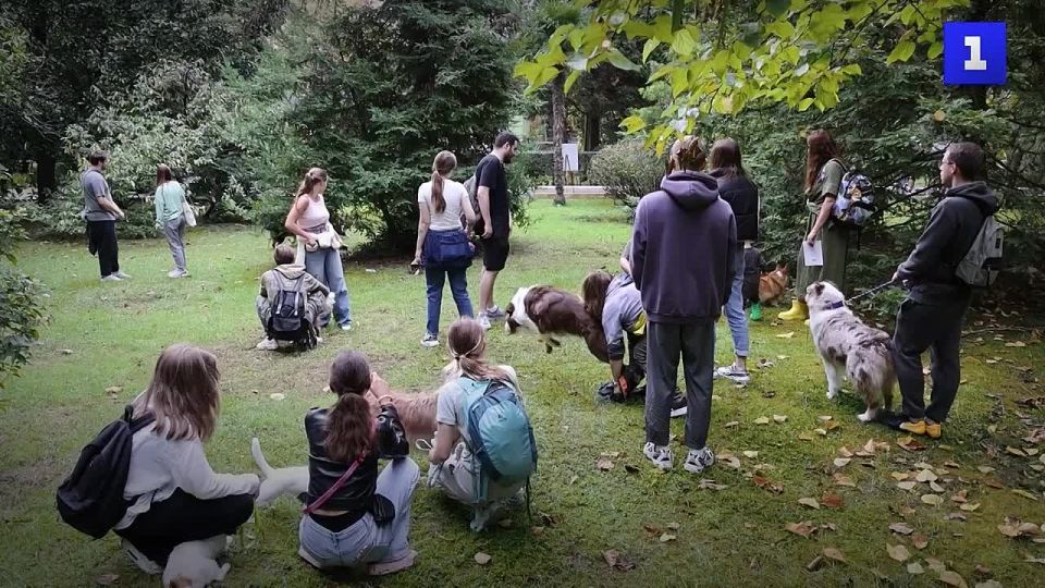 � ������ ��������� ���������� � ������ ������ �����