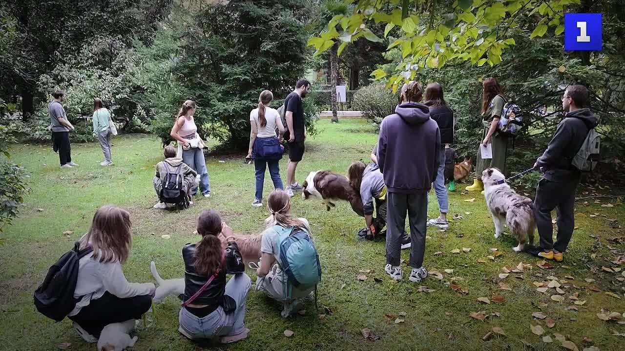 В России утвердили требования к местам выгула собак