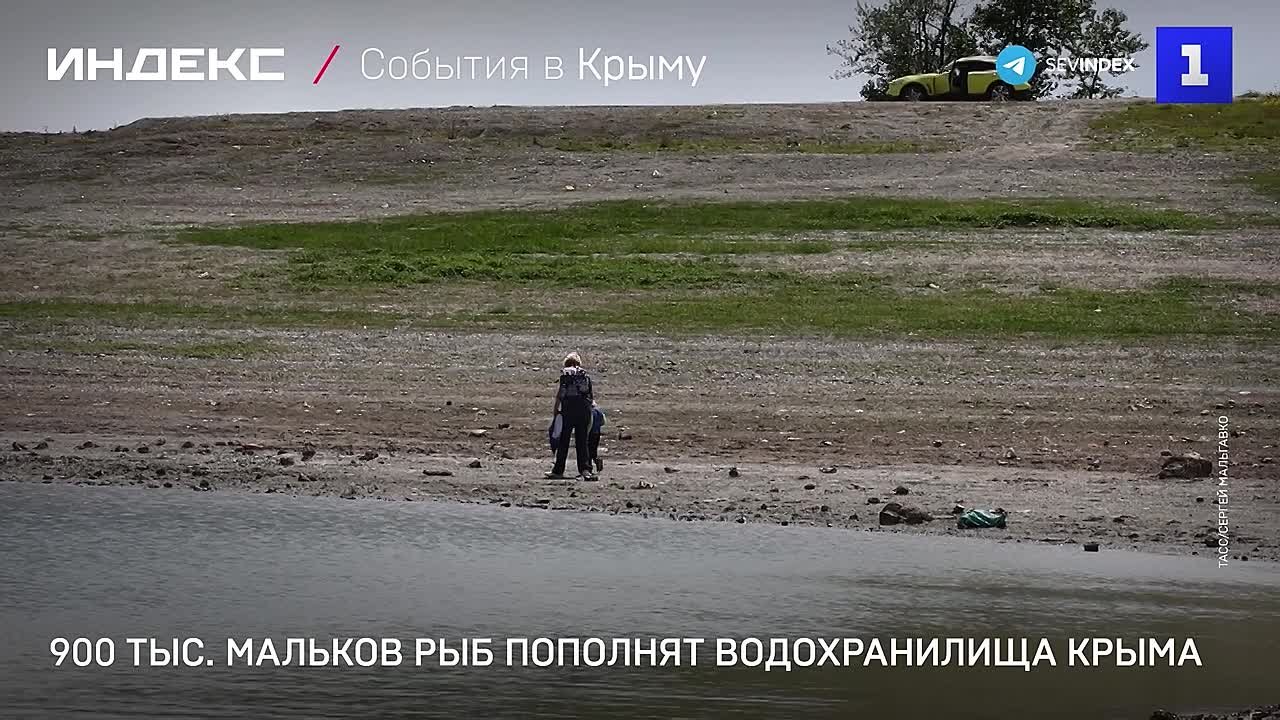 900 тыс. мальков рыб пополнят водохранилища Крыма
