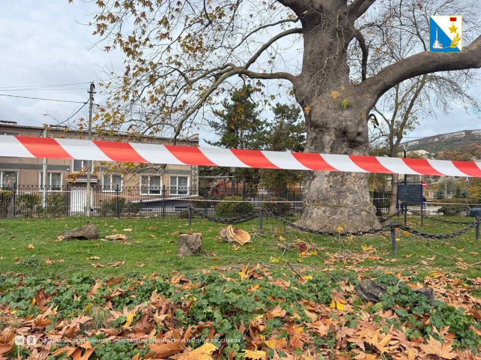 ������������� ������� ������� � ��������