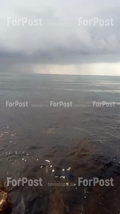 ����� ����� ��� �����. ���������� ������ ������������� � ����������� ForPost/ ForPost � MAX