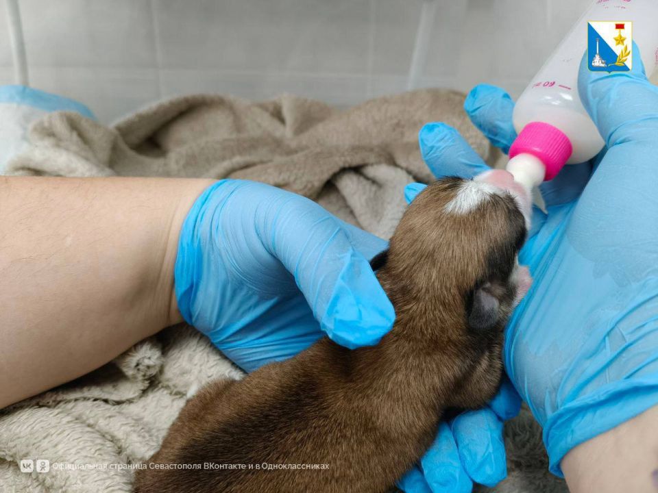 � ������������� ����������� ���������� ������ ����� �����