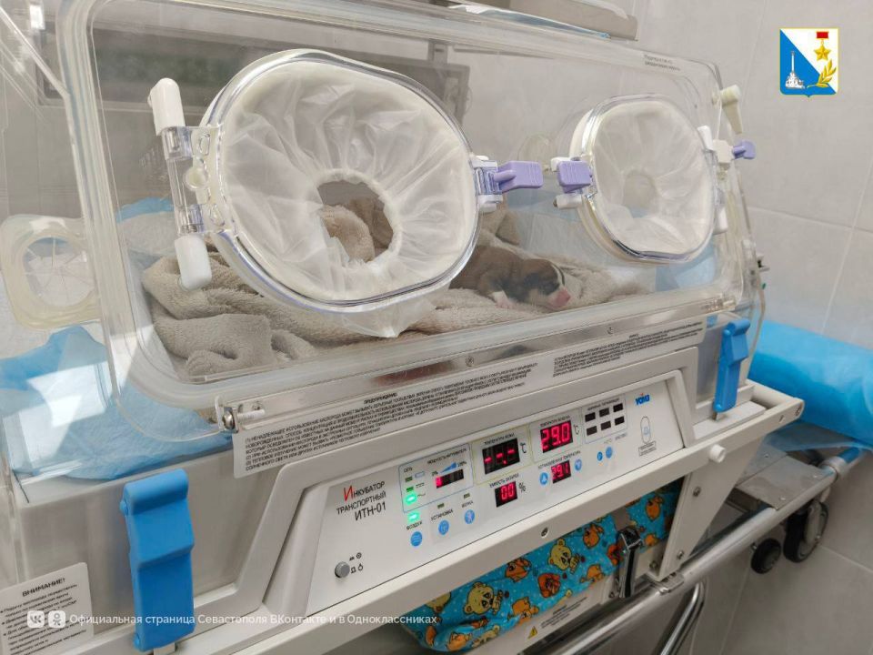 � ������������� ����������� ���������� ������ ����� �����