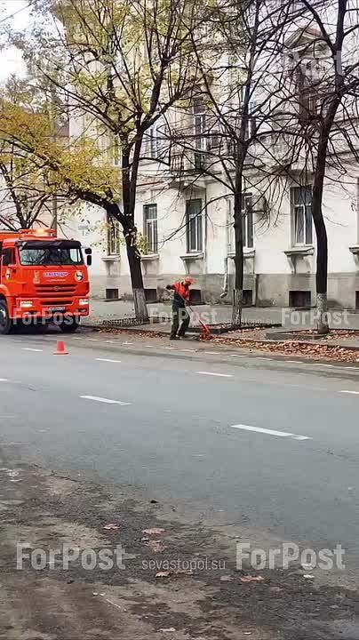 ����� ����������� ������ ������� �� ������� �������