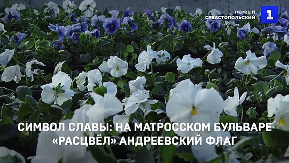 ����������� ���� ������� �� ���������� ��������