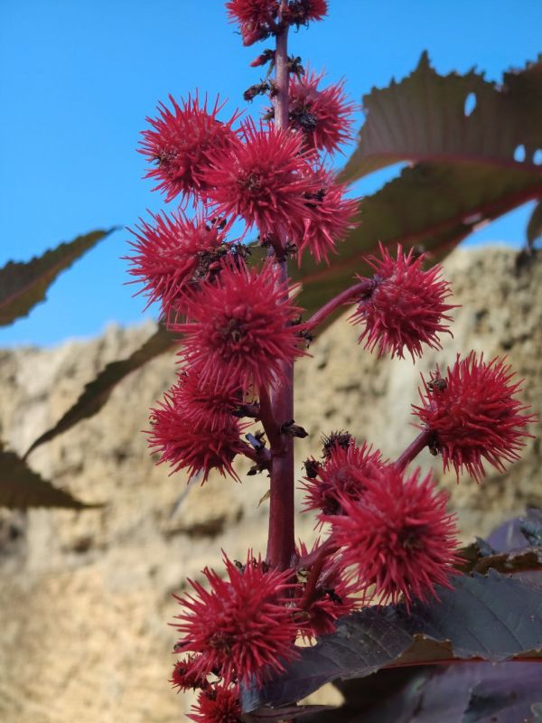 #��� �� ��������?. ��� ������ �������� � ������ �������� � ��������� ��������-������������ �������� ���������� ������������ ������