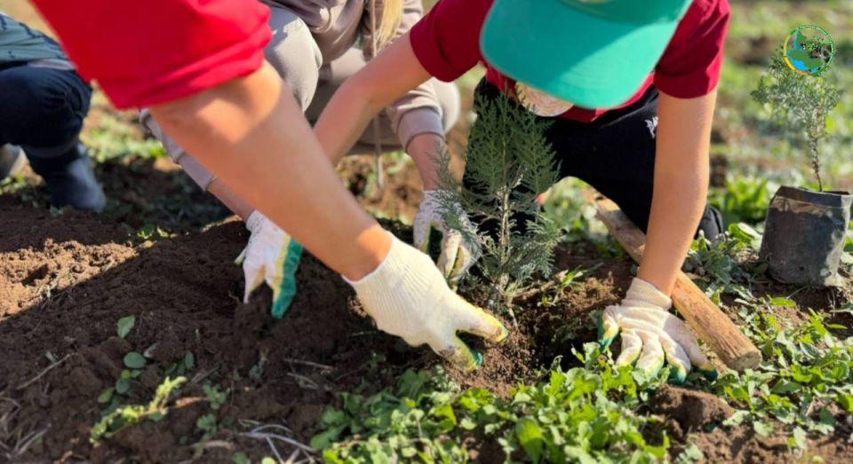 �������������� ���������� �� ������� ������� ������� ��������