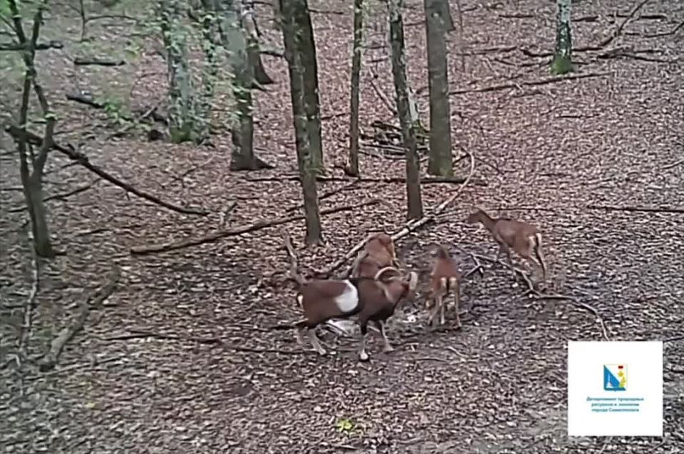 �� ����� ����������� ���������������� ����� ������