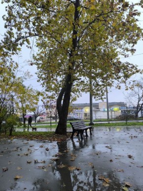 Доброго осеннего утра. В Севастополе днем дождь и прохладно