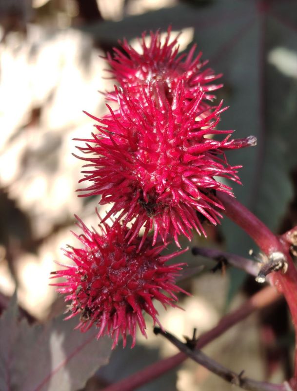 #��� �� ��������?. ��� ������ �������� � ������ �������� � ��������� ��������-������������ �������� ���������� ������������ ������