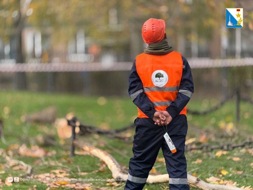 ������������� ������� ������� � ��������