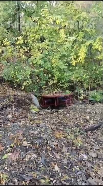 Ушакову балку раззаборили, не успев озаборить