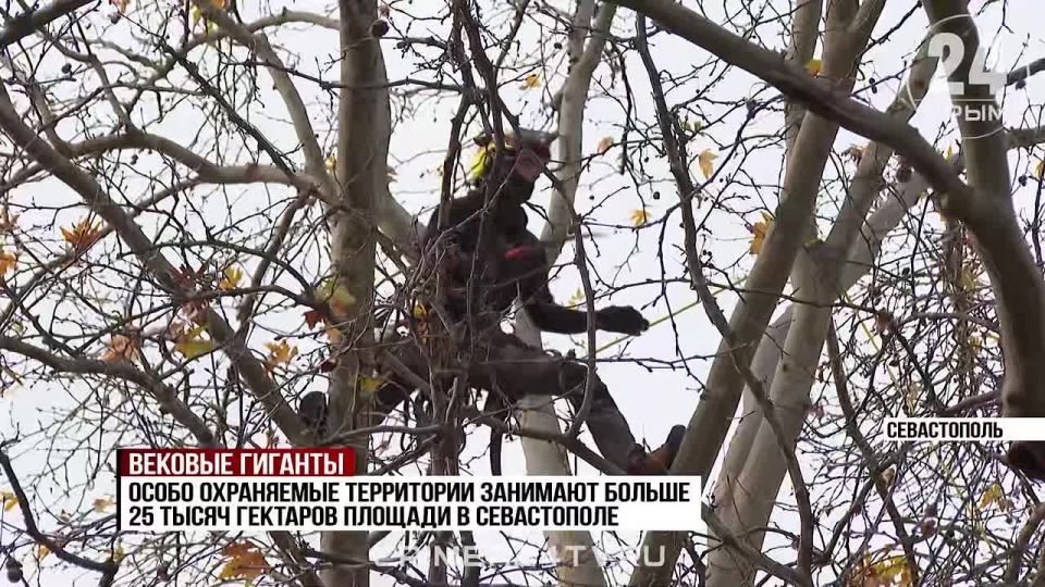 ������ � �� ���������: ��� ��������� � ���������� ������� � �����������