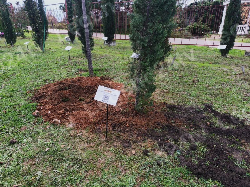 ��������� ����� ��������� ������-�������� ������ �������� ������-������� ����, ������� 1 ����� ������� ���������� �����������