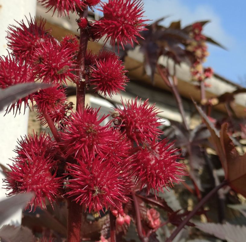 #��� �� ��������?. ��� ������ �������� � ������ �������� � ��������� ��������-������������ �������� ���������� ������������ ������