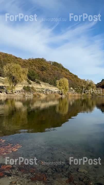 ������� ������� ����� � ��������������� ��������