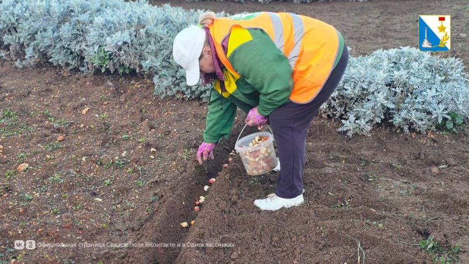 � ������ ������ �������� ����� 70 ����� ������� �������� ������