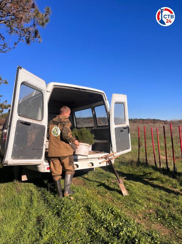 � ������������� ������������ �������� ��� ������ ������� ��������